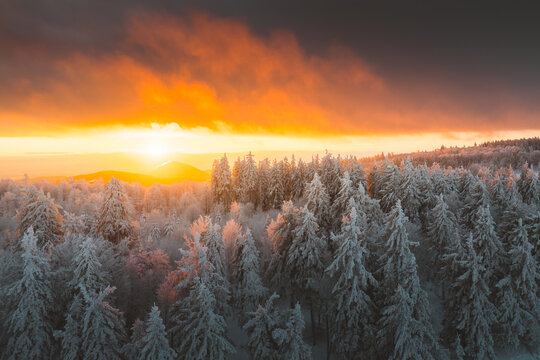 Aerial view of snow-laden treetops kissed by the fiery sunset, creating a stunning contrast between the cold forest and the warm sky, Bellefosse, Grand Est, France.