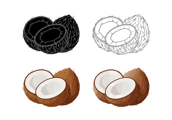 Assorted tropical coconut illustrations  whole and halved in outline, silhouette, and full color, ideal for creative projects and health themes © adobe