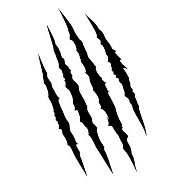 Claw marks. These are groups of diagonal black tears from beast or monster paws on a white background. Vector illustration.