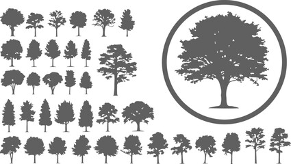 Adobe Illustrator Artwork © PureVector Lab