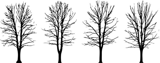 Obraz premium Adobe Illustrator Artwork