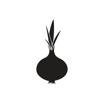 vector vegetable onion