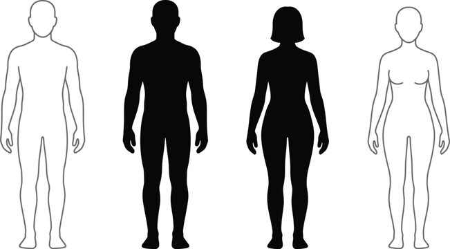 Human body vector illustrations in various styles and colors