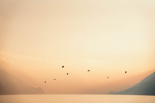 View of birds flying over the tranquil, mirror-like lake reflecting the soft, pastel hues of the sky as distant mountains fade into the horizon, Interlaken, Switzerland.