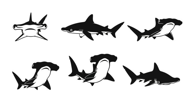 Hammerhead Shark Silhouettes Collection: Various Poses and Angles