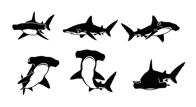 Hammerhead Shark Collection: Six Stylized Silhouettes in Black and White