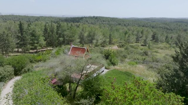 Aerial view of the Thai Pagoda in Ben Shemen Forest, Israel, surrounded by lush green pine and cypress trees