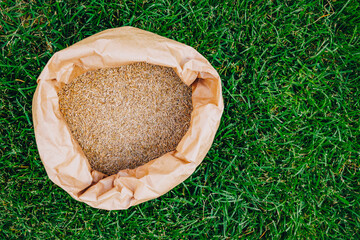 Naklejka premium Open paper bag with lawn grass seeds on green garden turf background, agricultural sowing concept