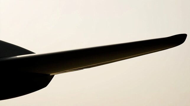 monoplane. Minimalist silhouette of a monoplane with a single wing against a gradient sky. mobility guides, transit brochures, designed for transport & logistics marketing.