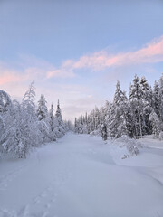 Obraz premium Winter wonderland landscape blanketed in snow in Akaslompolo, Lapland, Finland at twilight