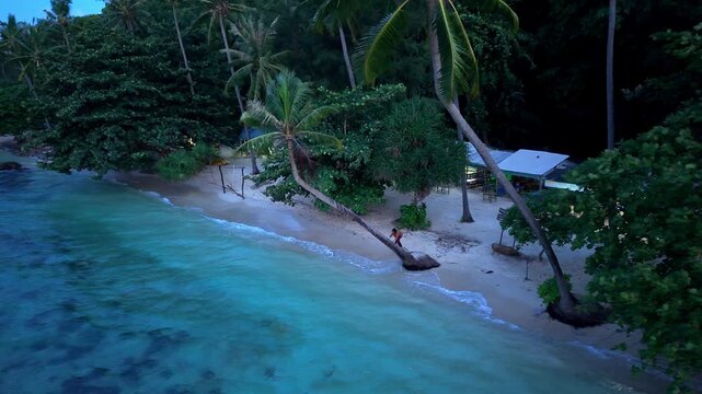 Aerial view of Tanjung Gelam Beach, a serene coastal paradise where turquoise waters meet the lush greenery, Karimunjawa, Central Java, Indonesia.
