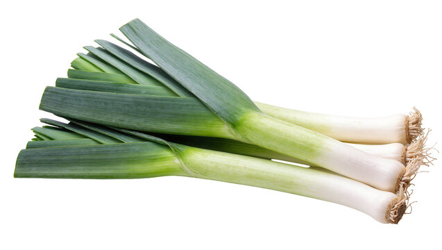 Isolated fresh organic leeks arranged naturally, healthy green vegetables, food ingredient