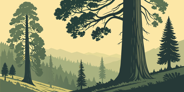 USA, US, U.S, United States - Sequoia National Park Giant Sequoia Trees Sunrise Panorama | Majestic Forest Landscape Wall Art Poster | California Scenic Nature Print