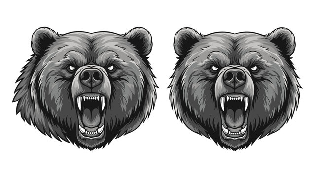 Two identical roaring grizzly bear head illustrations shown in grayscale capture the fierce and aggressive nature of this powerful forest predator.