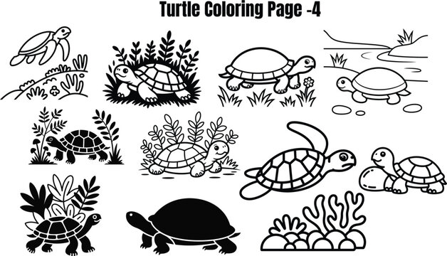 Black and white turtle with plants and rocks turtles