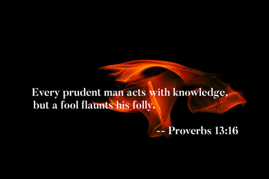 Proverbs 13 16