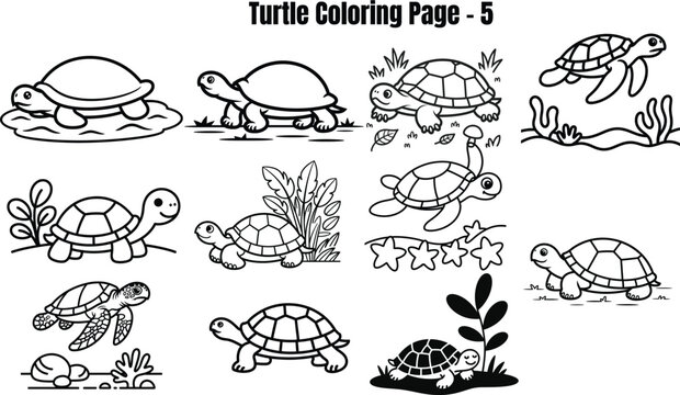 Turtle for coloring book page turtles sea turtles tortoises