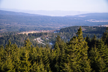 Zieleniec , w drodze na górę Orlica © rob