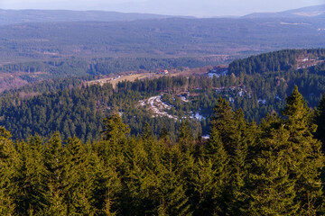 Zieleniec , w drodze na górę Orlica © rob