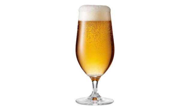 Isolated glass of refreshing golden beer with foamy head and bubbles for a crisp drink