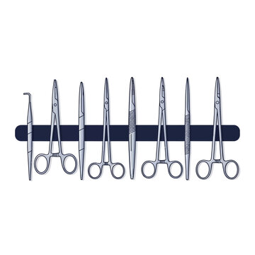 Medical Surgical Instruments Arranged in a Horizontal Line, Depicting Tools for Operations