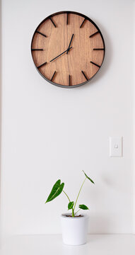 clock on the wall with plant pot