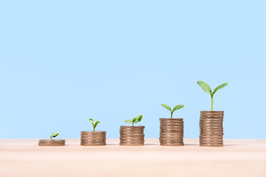Young green seedlings plant growing on increasing coin stacking for money saving deposit and investment dividend growth concept, goals achievement and business success