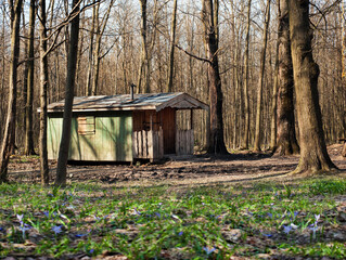 A small forest hut with a porch in the spring forest.