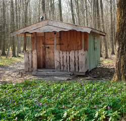 A small wooden rustic house with a porch in the spring forest.
