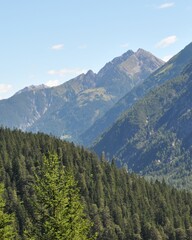 Fototapeta premium Scenic view of mountains and trees in a valley during a clear day in the countryside