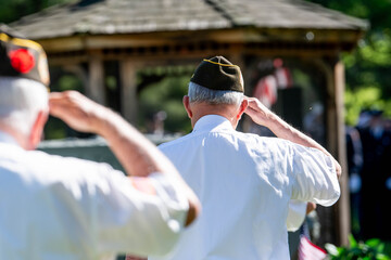 US military veterans in garrison caps and white shirts salute the American flag at a memorial ceremony — a solemn, powerful image of service, honor, and remembrance.