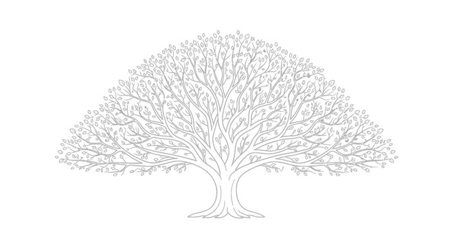 Tree illustration with detailed branches.