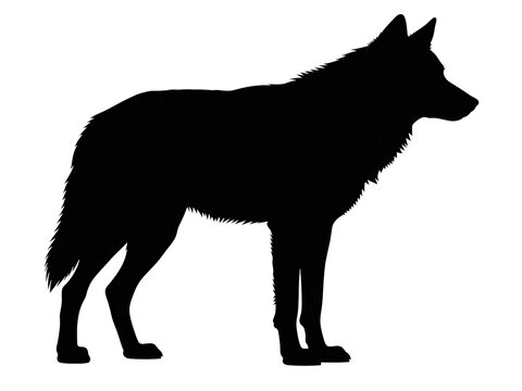 silhouette of walking wolf