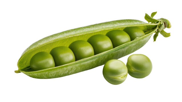 Isolated open pea pod with fresh green garden peas and loose beans on the side