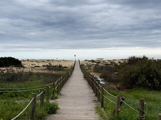 Fototapeta premium Sturdy wooden stairs rise from the sandy beach, surrounded by tall grasses, leading to the top of the dune under a cloudy afternoon sky. The scene is calm and inviting.