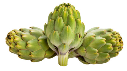 Fototapeta premium Isolated group of three fresh green whole artichokes, healthy cooking ingredient or delicious vegetable
