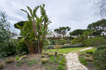 Obraz premium Beautiful garden pathway with green hedges and stone steps, creating a peaceful and natural outdoor landscape.