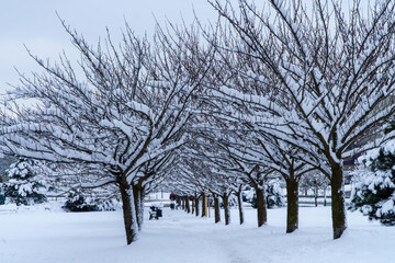 Krakowskie miejsca zaśnieżone  © rob