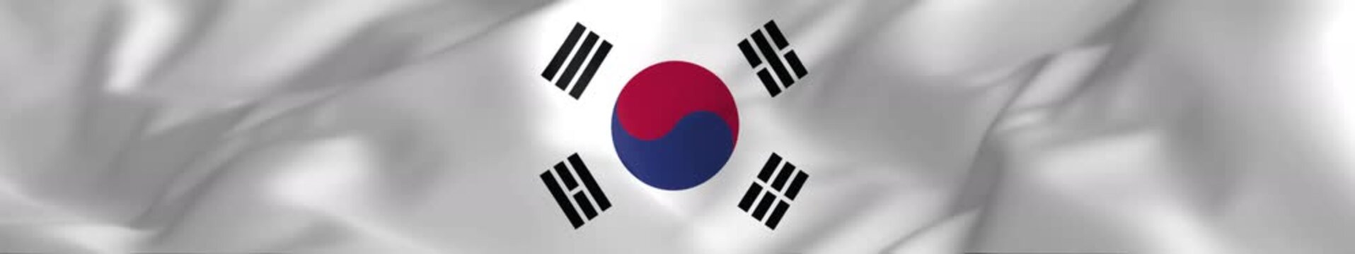 Vibrant Waving Taegeukgi Flag - South Korea Widescreen Panorama