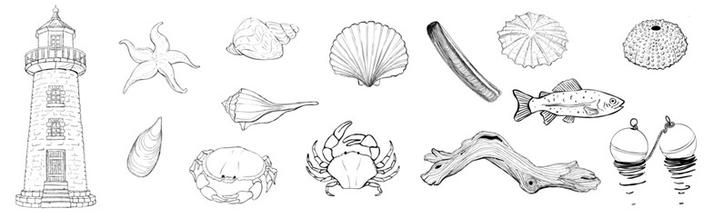 Hand drawn coastal nautical set with lighthouse seashells starfish crab fish driftwood and buoys black and white line art © gleolite