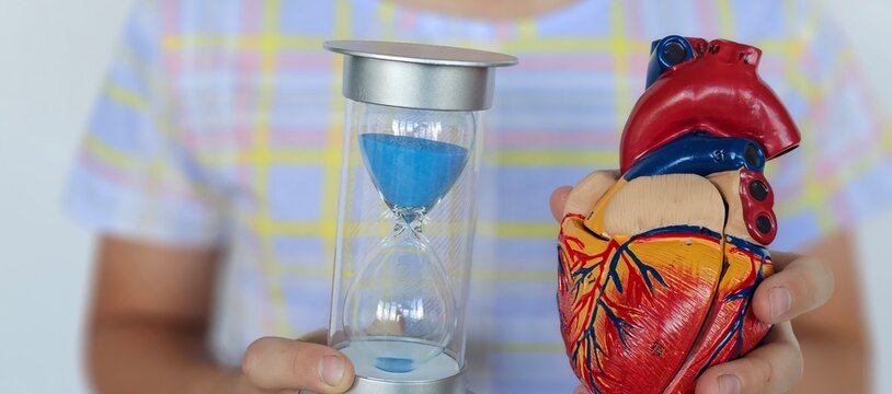Child holding an hourglass in one hand and a colorful human heart model