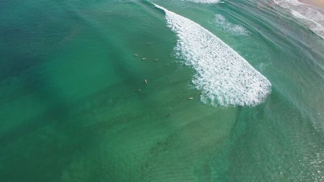 Aerial drone footage in Red Island beach bay, Banyuwangi regency, Java island, Indonesia, above a turquoise clear water, some long waves, a white beach, and many surfers looking for the perfect wave