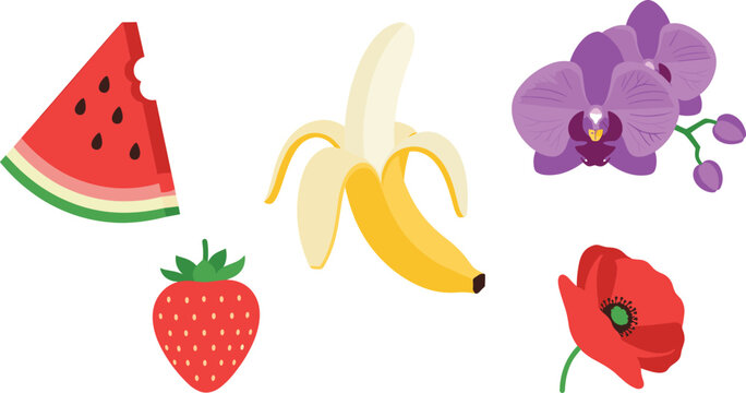 Flat Vector Illustration Set Featuring Summer Fruits and Flowers Including Watermelon Slice, Banana, Strawberry, Purple Orchid, and Red Poppy Botanical Elements