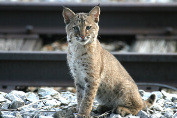 231107-A-A0796-1001 © Mubin