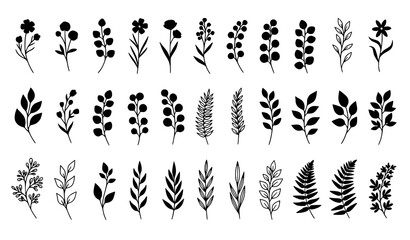 Minimalist botanical flower and leaf silhouettes collection with modern plant elements vector set © Wahida