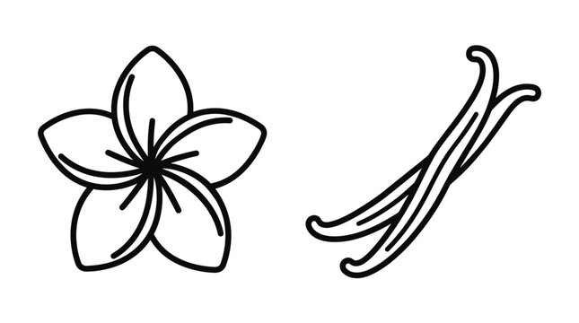 Simple black line art icon of a vanilla flower and aromatic beans. Minimalist vector illustration for food packaging, logos, or natural product branding. Organic and clean concept.