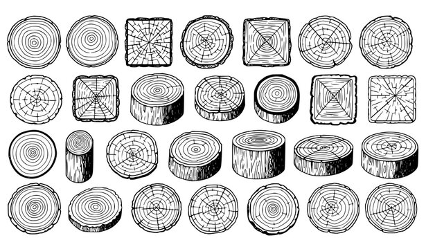 Decorative wood tree rings and stump cross section outline textures hand drawn vector set