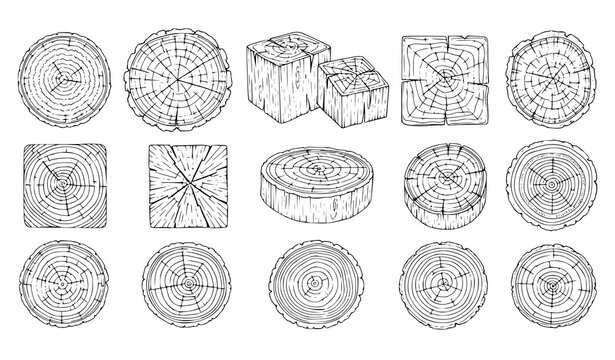 Hand drawn tree ring wood texture collection with log slice and stump outline vector illustration