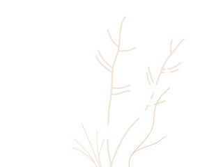 Obraz premium Simple illustration of light brown plant branches on transparent background transparent background