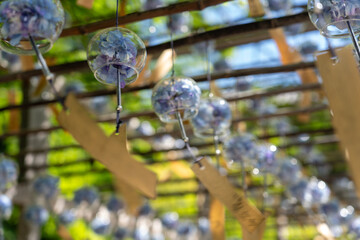 Fototapeta premium アジサイの風鈴 / A wind chime shaped like a hydrangea